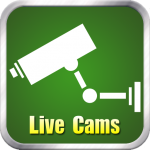 Live Web Cams